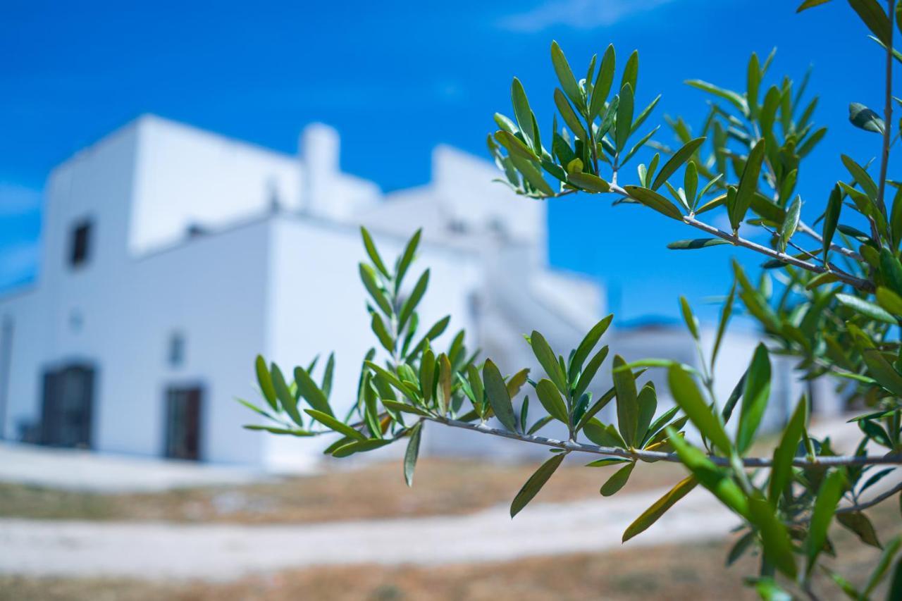 Masseria Donna Coletta 诺西 外观 照片